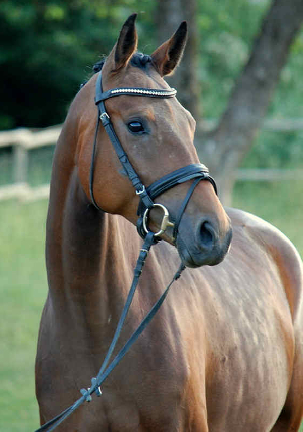 Aeles C