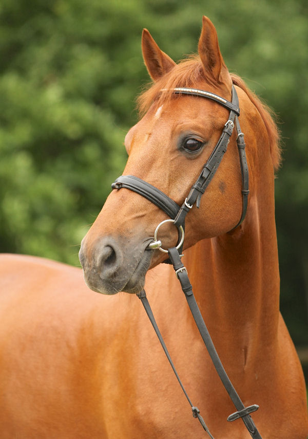 Baddeley C