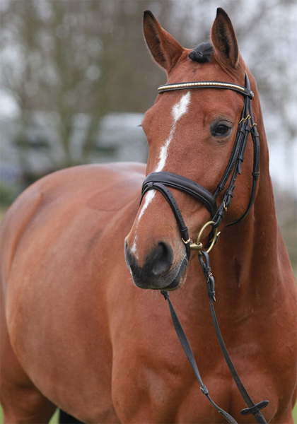 Isolde C