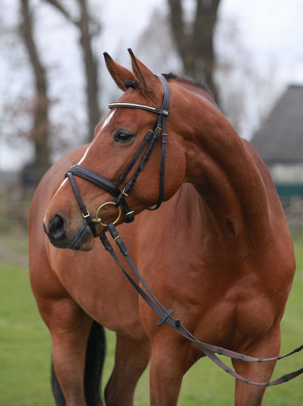 Isolde C